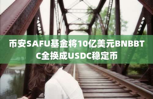 币安SAFU基金将10亿美元BNBBTC全换成USDC稳定币