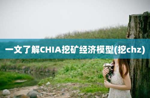 一文了解CHIA挖矿经济模型(挖chz)