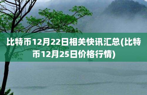 比特币12月22日相关快讯汇总(比特币12月25日价格行情)