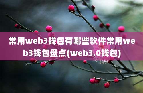 常用web3钱包有哪些软件常用web3钱包盘点(web3.0钱包)