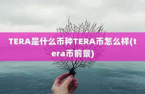 TERA是什么币种TERA币怎么样(tera币前景)