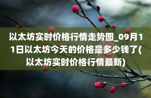 以太坊实时价格行情走势图_09月11日以太坊今天的价格是多少钱了(以太坊实时价格行情最新)