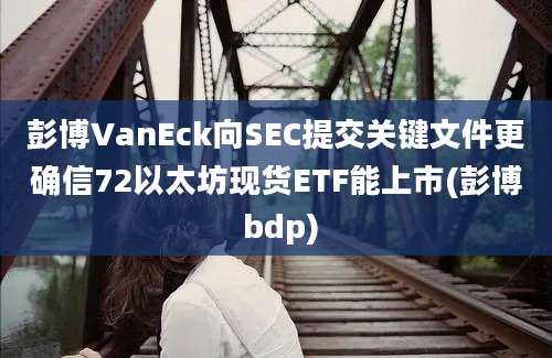 彭博VanEck向SEC提交关键文件更确信72以太坊现货ETF能上市(彭博 bdp)