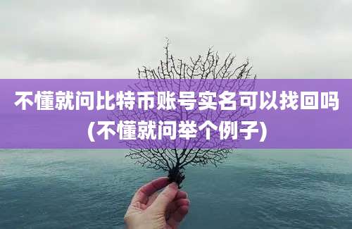 不懂就问比特币账号实名可以找回吗(不懂就问举个例子)