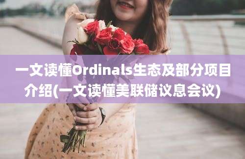 一文读懂Ordinals生态及部分项目介绍(一文读懂美联储议息会议)