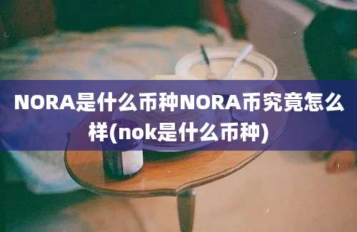 NORA是什么币种NORA币究竟怎么样(nok是什么币种)