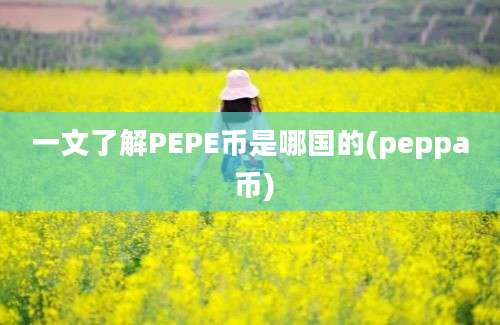 一文了解PEPE币是哪国的(peppa 币)