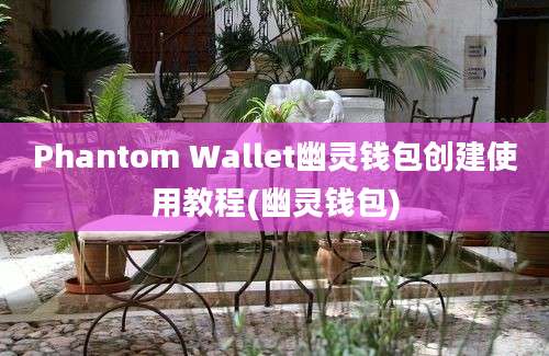 Phantom Wallet幽灵钱包创建使用教程(幽灵钱包)