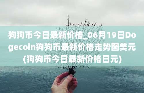 狗狗币今日最新价格_06月19日Dogecoin狗狗币最新价格走势图美元(狗狗币今日最新价格日元)