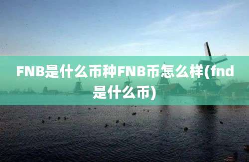 FNB是什么币种FNB币怎么样(fnd是什么币)