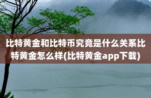 比特黄金和比特币究竟是什么关系比特黄金怎么样(比特黄金app下载)