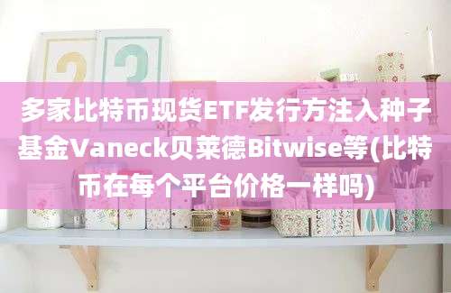 多家比特币现货ETF发行方注入种子基金Vaneck贝莱德Bitwise等(比特币在每个平台价格一样吗)