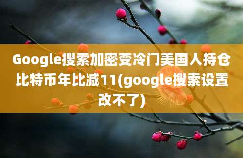 Google搜索加密变冷门美国人持仓比特币年比减11(google搜索设置改不了)