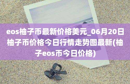 eos柚子币最新价格美元_06月20日柚子币价格今日行情走势图最新(柚子eos币今日价格)