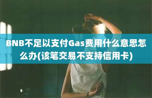 BNB不足以支付Gas费用什么意思怎么办(该笔交易不支持信用卡)