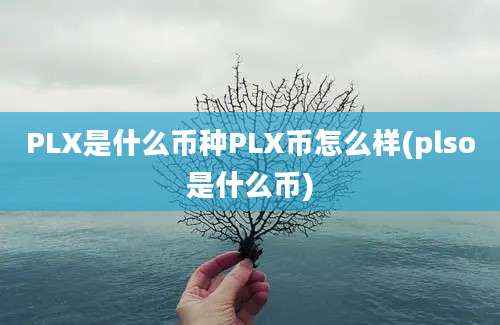 PLX是什么币种PLX币怎么样(plso是什么币)