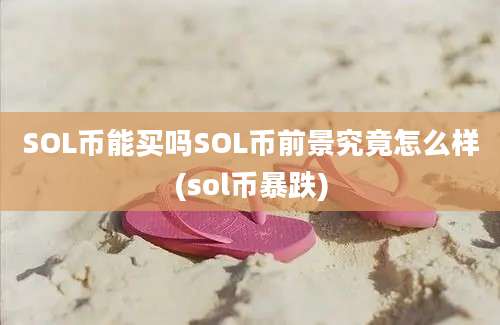 SOL币能买吗SOL币前景究竟怎么样(sol币暴跌)