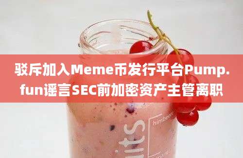 驳斥加入Meme币发行平台Pump.fun谣言SEC前加密资产主管离职