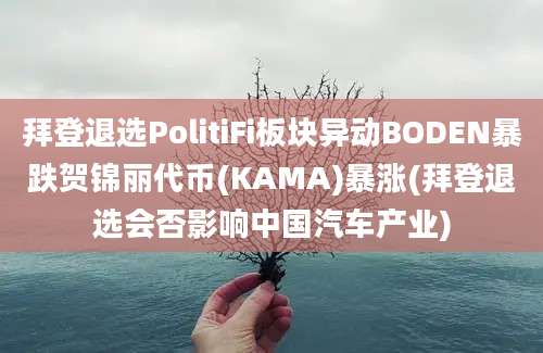 拜登退选PolitiFi板块异动BODEN暴跌贺锦丽代币(KAMA)暴涨(拜登退选会否影响中国汽车产业)