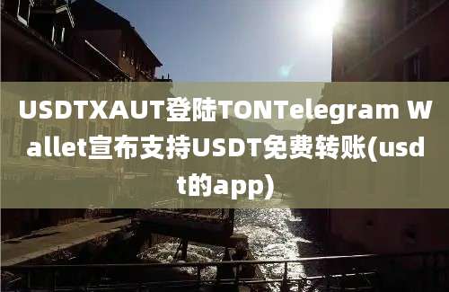 USDTXAUT登陆TONTelegram Wallet宣布支持USDT免费转账(usdt的app)