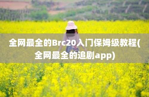 全网最全的Brc20入门保姆级教程(全网最全的追剧app)