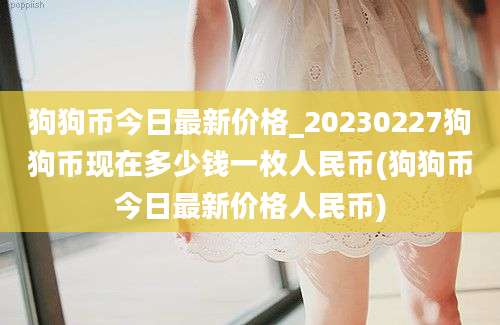 狗狗币今日最新价格_20230227狗狗币现在多少钱一枚人民币(狗狗币今日最新价格人民币)