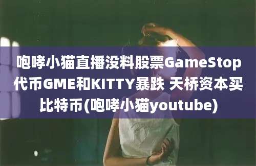 咆哮小猫直播没料股票GameStop代币GME和KITTY暴跌 天桥资本买比特币(咆哮小猫youtube)