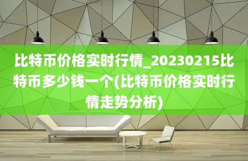 比特币价格实时行情_20230215比特币多少钱一个(比特币价格实时行情走势分析)