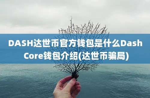 DASH达世币官方钱包是什么Dash Core钱包介绍(达世币骗局)