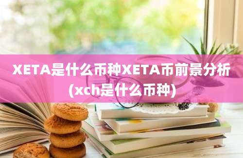 XETA是什么币种XETA币前景分析(xch是什么币种)