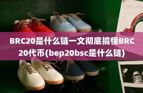 BRC20是什么链一文彻底搞懂BRC20代币(bep20bsc是什么链)