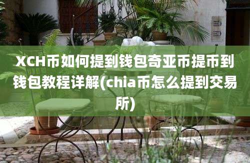 XCH币如何提到钱包奇亚币提币到钱包教程详解(chia币怎么提到交易所)