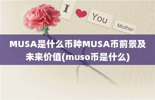 MUSA是什么币种MUSA币前景及未来价值(muso币是什么)