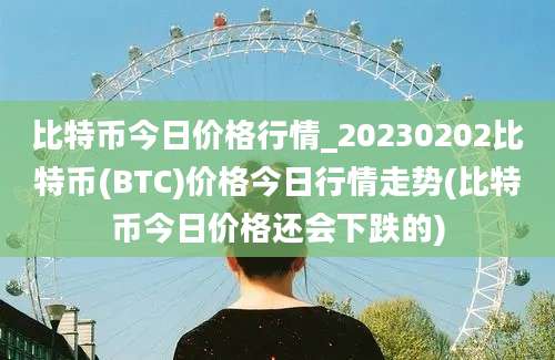 比特币今日价格行情_20230202比特币(BTC)价格今日行情走势(比特币今日价格还会下跌的)