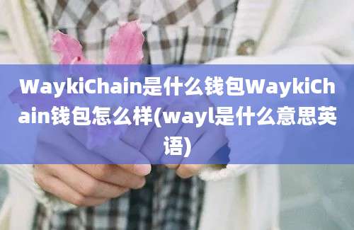 WaykiChain是什么钱包WaykiChain钱包怎么样(wayl是什么意思英语)