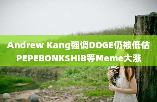 Andrew Kang强调DOGE仍被低估PEPEBONKSHIB等Meme大涨