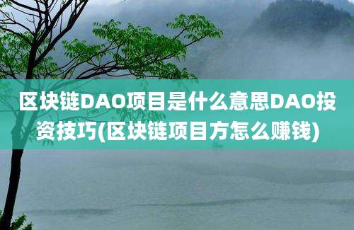 区块链DAO项目是什么意思DAO投资技巧(区块链项目方怎么赚钱)