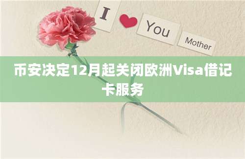 币安决定12月起关闭欧洲Visa借记卡服务