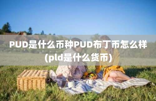 PUD是什么币种PUD布丁币怎么样(pld是什么货币)