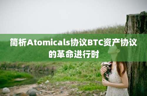 简析Atomicals协议BTC资产协议的革命进行时