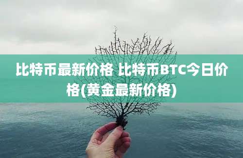 比特币最新价格 比特币BTC今日价格(黄金最新价格)