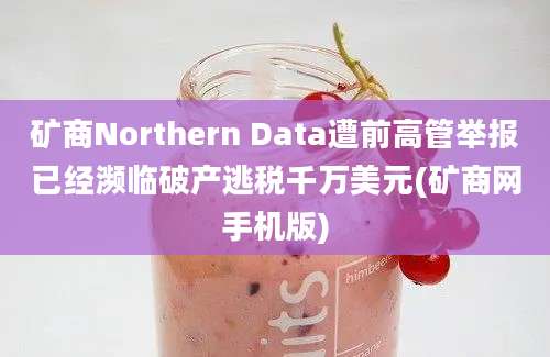 矿商Northern Data遭前高管举报已经濒临破产逃税千万美元(矿商网手机版)