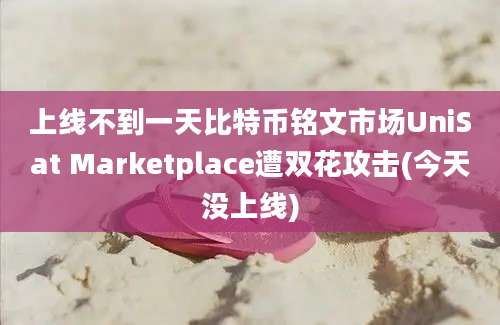 上线不到一天比特币铭文市场UniSat Marketplace遭双花攻击(今天没上线)