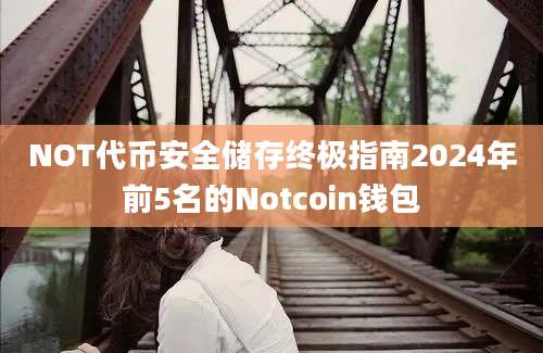 NOT代币安全储存终极指南2024年前5名的Notcoin钱包