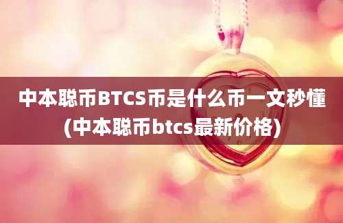 中本聪币BTCS币是什么币一文秒懂(中本聪币btcs最新价格)