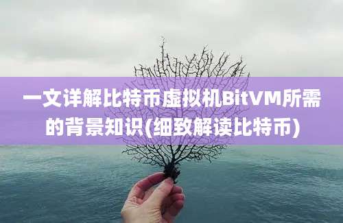 一文详解比特币虚拟机BitVM所需的背景知识(细致解读比特币)