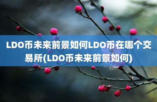 LDO币未来前景如何LDO币在哪个交易所(LDO币未来前景如何)