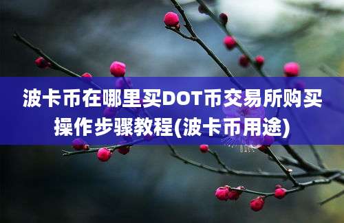 波卡币在哪里买DOT币交易所购买操作步骤教程(波卡币用途)