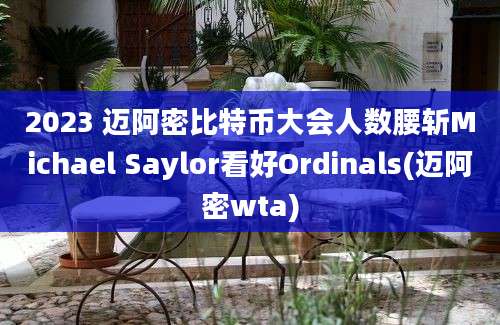 2023 迈阿密比特币大会人数腰斩Michael Saylor看好Ordinals(迈阿密wta)