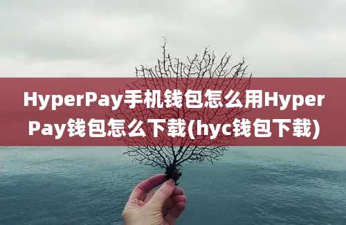 HyperPay手机钱包怎么用HyperPay钱包怎么下载(hyc钱包下载)